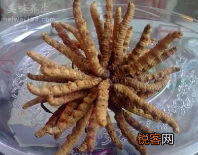 冬虫夏草怎么服用效果最佳