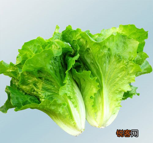 夏季如何预防食物中毒