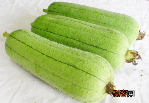 菜中佳品瓜类防暑又治病