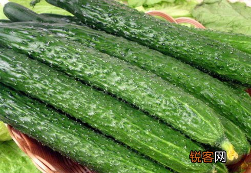 菜中佳品瓜类防暑又治病