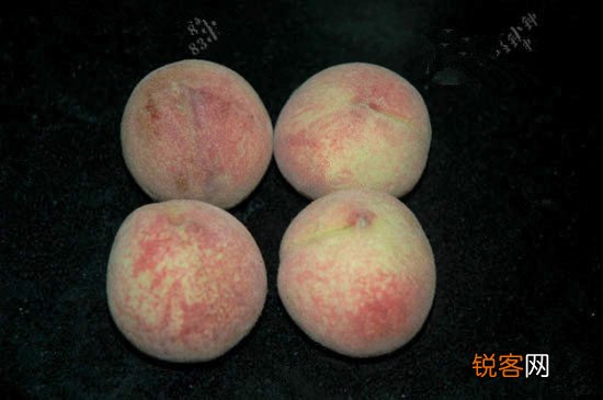 桃子季 鲜桃好吃有宜忌