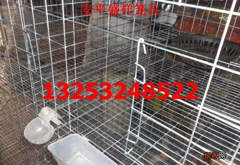 鸽子笼多大合适
