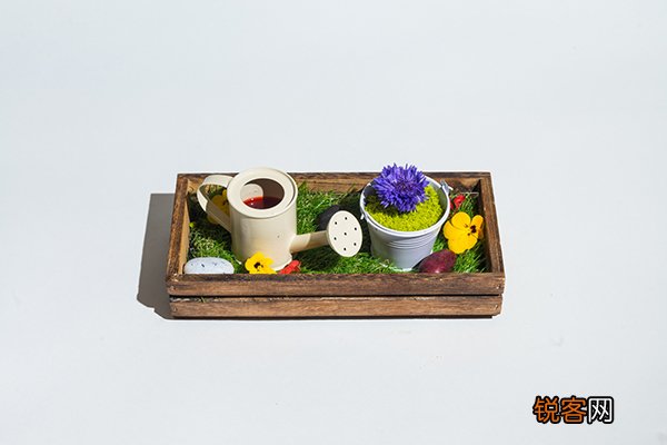 多切斯特酒店重返切尔西花展 呈献经典下午茶和花艺鸡尾酒