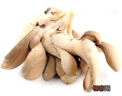 会影响你一生的10种食物
