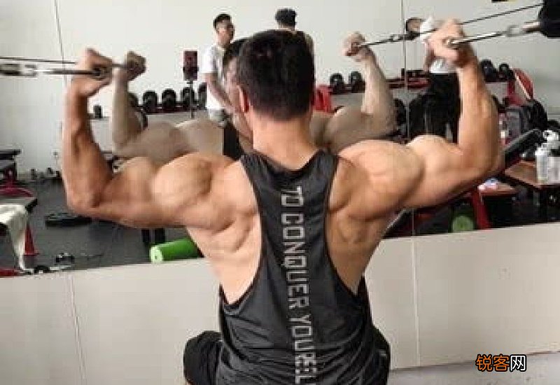 肱二头肌怎么练