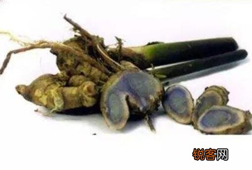 蓝姜的作用与功效 蓝姜的不良反应
