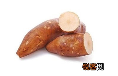 雪莲果的功效与作用