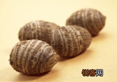 芋头的功效与作用及食用方法