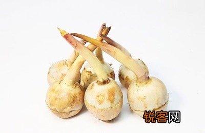 凫茨和茨菰是什么