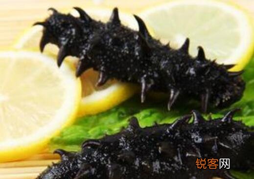 辽参的作用和功效及禁忌