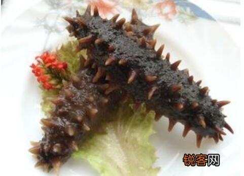 辽参的作用和功效及禁忌