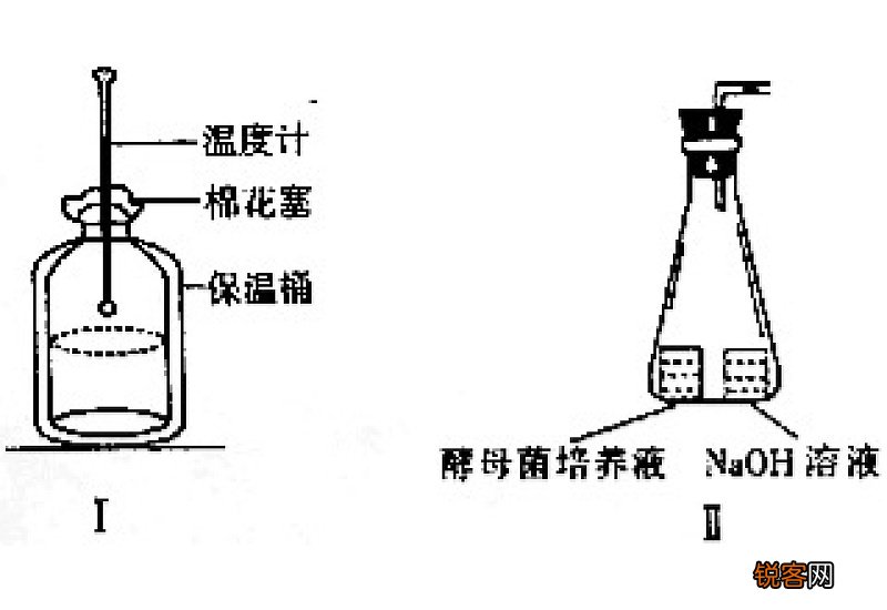 椭圆机是有氧还是无氧