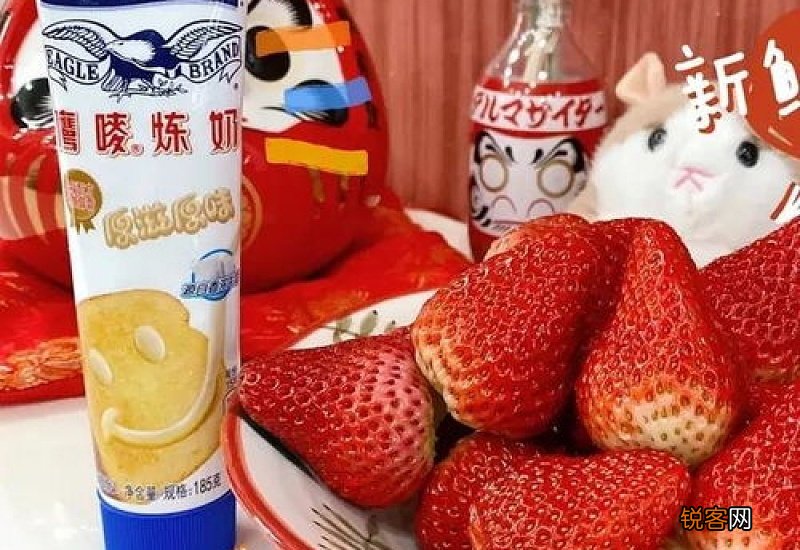 炼乳能做冰激凌吗