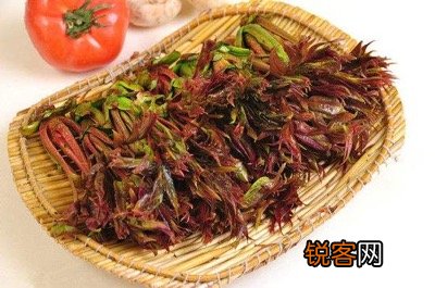 香椿的功效与作用