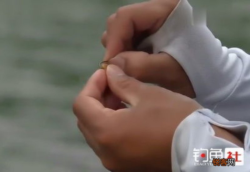 钓鱼挂玉米的正确方法