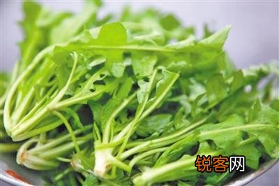 荠菜防白头，还你乌黑秀发