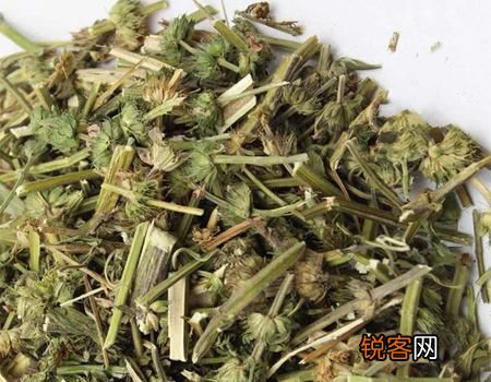 女性痛经可以吃益母草吗？