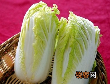大白菜的功效及食用注意