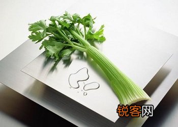 芹菜的药用价值