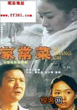 家常菜电视剧爱奇艺