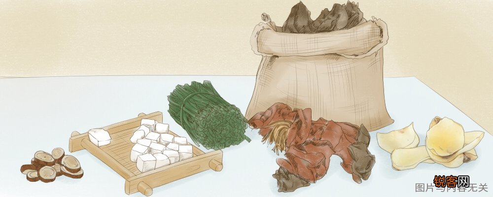 走茎丹参的功效与作用