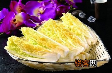 娃娃菜是什么菜