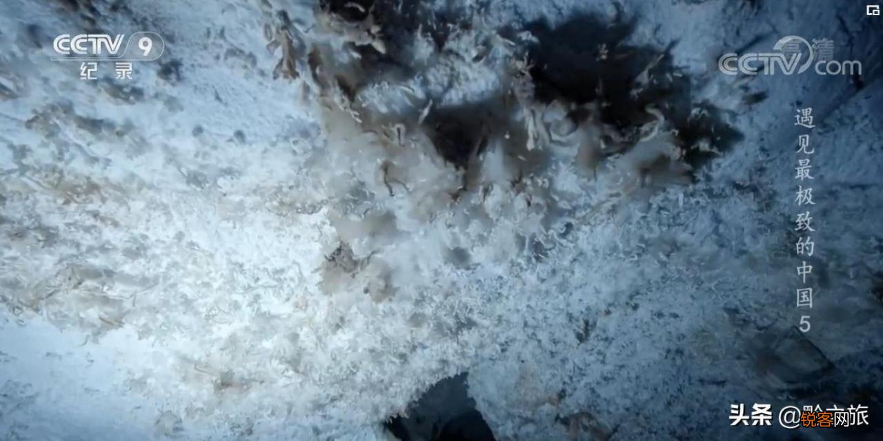 中国最大溶洞在哪里 双河溶洞是几A级景区