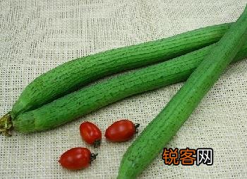 丝瓜的营养价值及吃法
