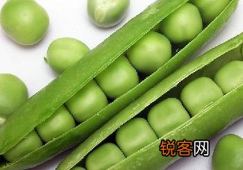 豌豆的功效与作用