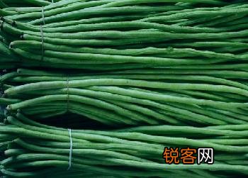 豇豆是什么