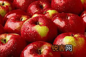 全球最健康长寿的食物！