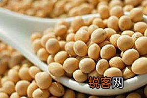 全球最健康长寿的食物！