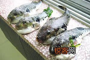 全球最健康长寿的食物！