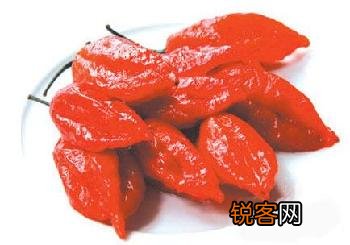 世界上最辣的辣椒是什么辣椒