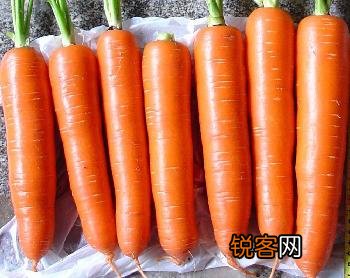 如何选购胡萝卜