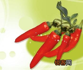 辣椒的起源