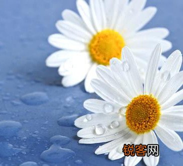 生活中必不可少的中药