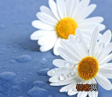 风热感冒的预防与保健