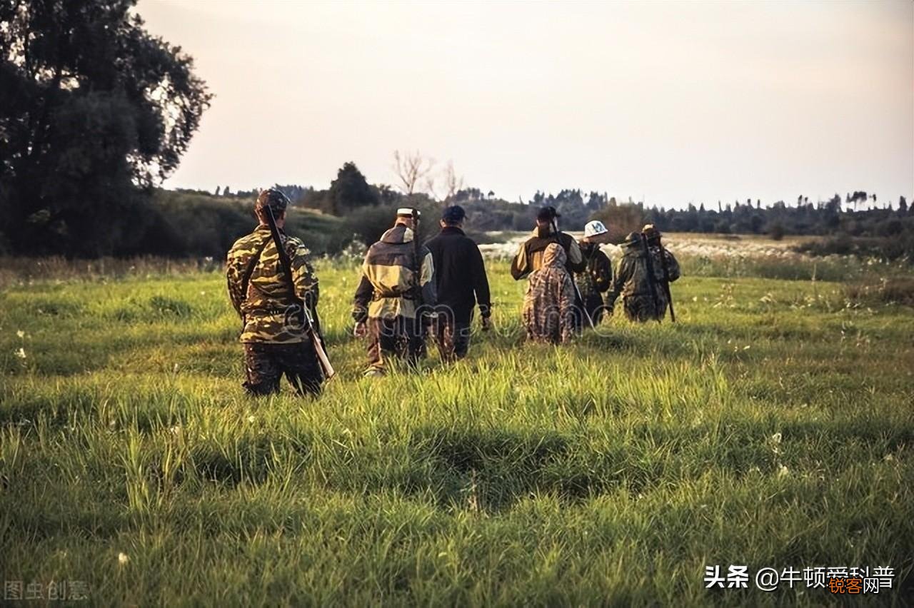 史前十大咬合力最强生物 咬合力最强的动物排名前十