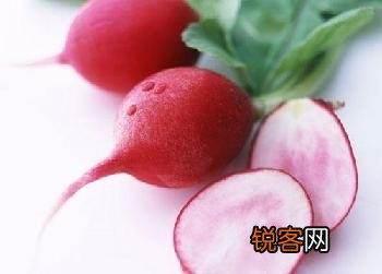 萝卜的功效及选购