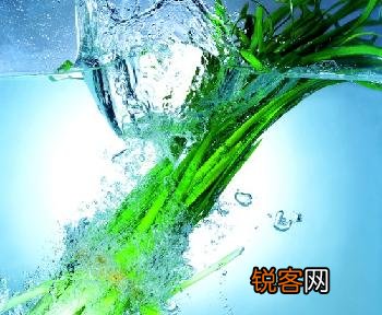 韭菜、蒜黄巧保鲜