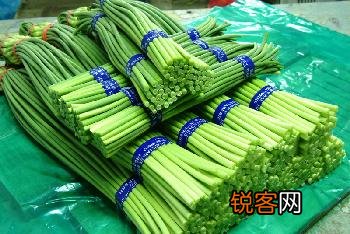 如何鉴别蒜苔的质量