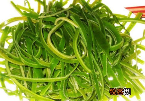 喜欢吃海带一定要知道的事