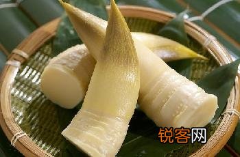 竹笋的种类