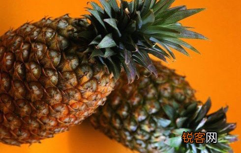 12大补脑健智的日常食品