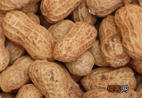 12大补脑健智的日常食品