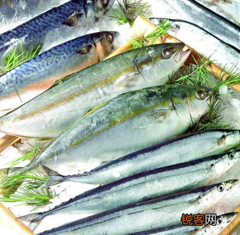 12大补脑健智的日常食品