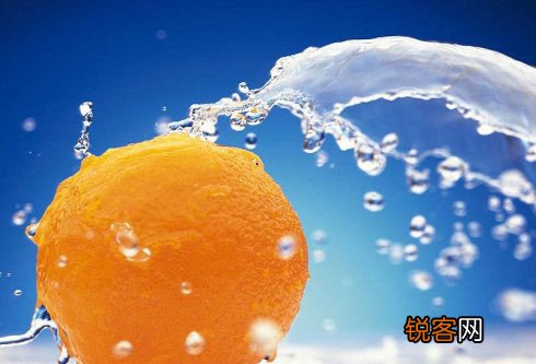 12大补脑健智的日常食品