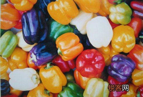 12大补脑健智的日常食品