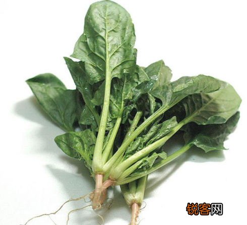 12大补脑健智的日常食品